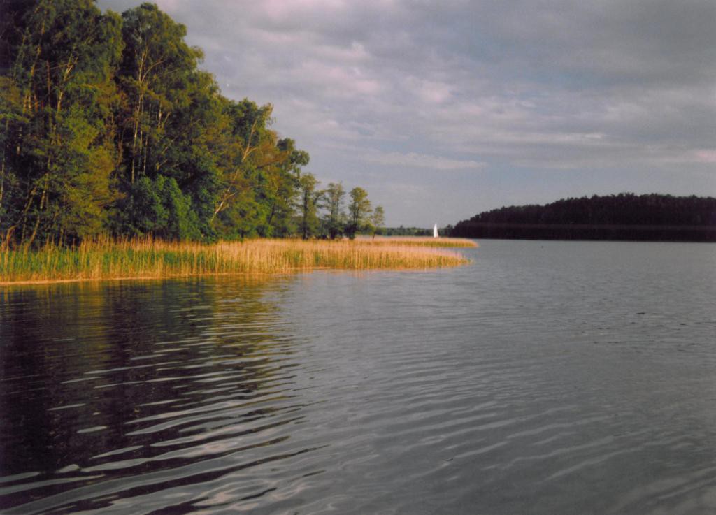 ruda woda (2)